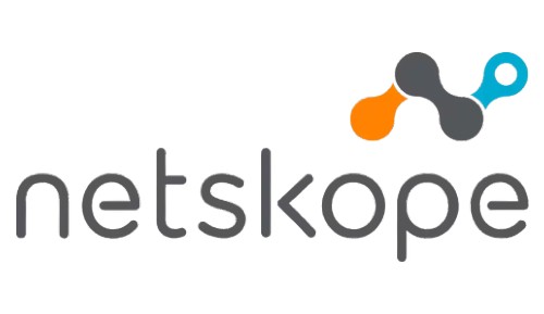 netskole